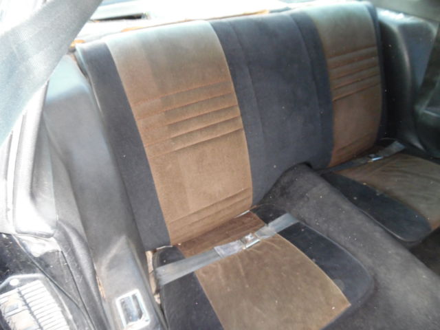 1979 Pontiac Trans Am Smokey And The Bandit SE Addition- - photo 12