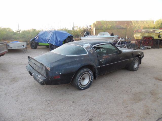 1979 Pontiac Firebird Trans Am Smokey & The Bandit L78 400 4spd Y84/WS6 - photo 5