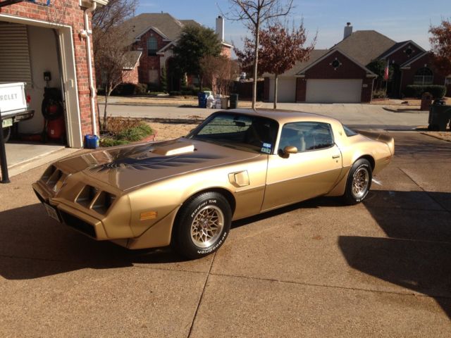 1979 Pontiac Firebird - photo 3