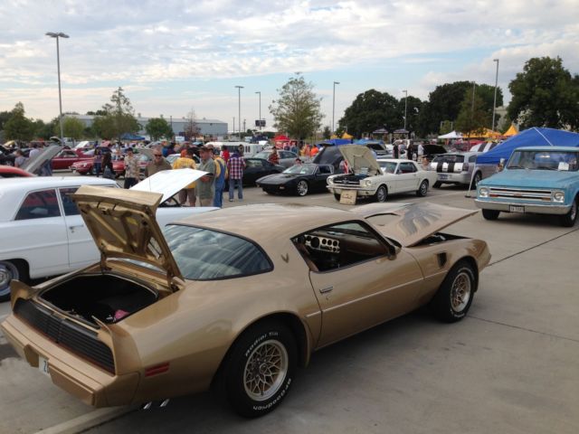 1979 Pontiac Firebird - photo 4