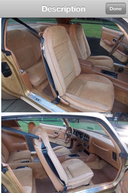 1979 Pontiac Firebird - photo 6