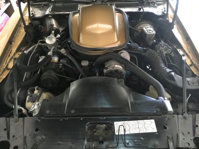 1979 Pontiac Firebird - photo 9