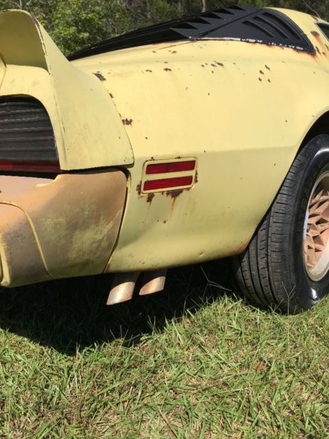 1979 Pontiac Trans Am - photo 13