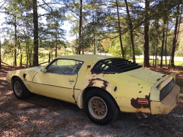 1979 Pontiac Trans Am - photo 2