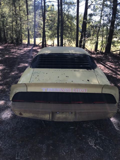 1979 Pontiac Trans Am - photo 3