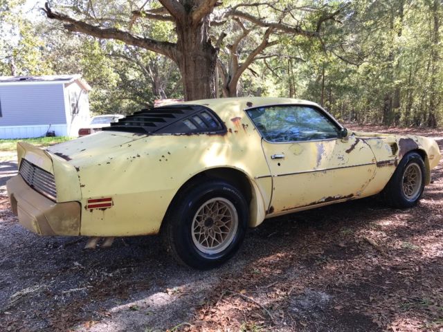 1979 Pontiac Trans Am - photo 4