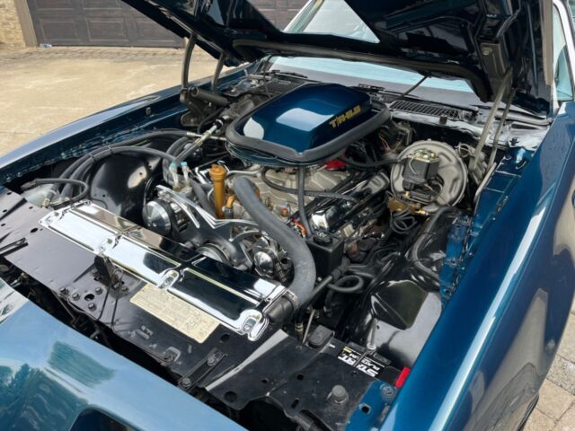 1979 Pontiac Trans Am - photo 11