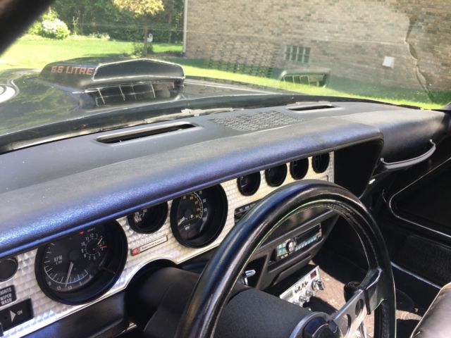 1979 Pontiac Trans Am ws4 - photo 11