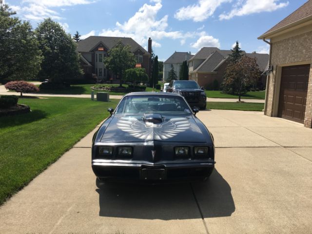 1979 Pontiac Trans Am ws4 - photo 3