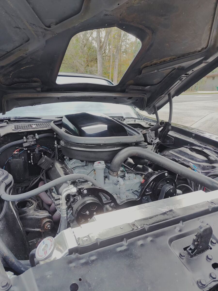 1979 Pontiac Trans Am - photo 10