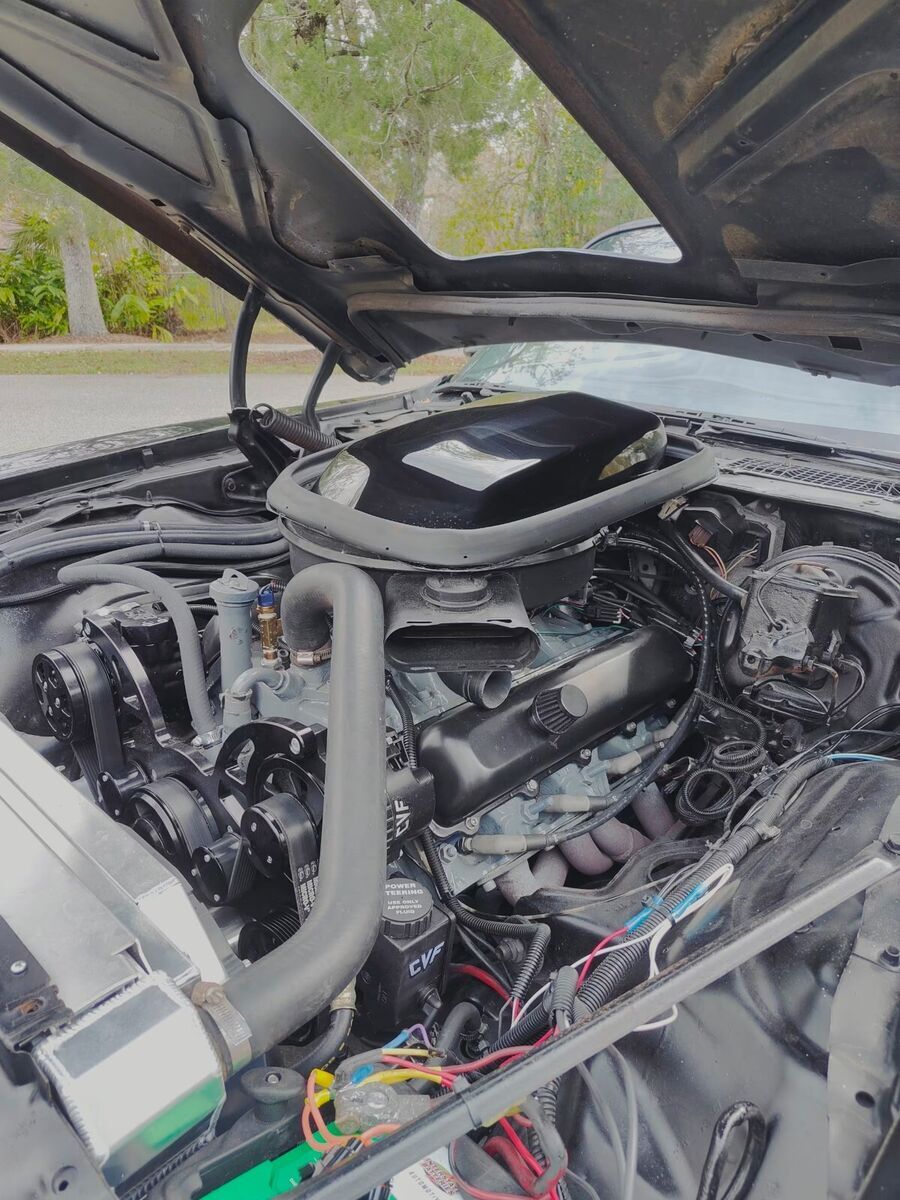 1979 Pontiac Trans Am - photo 11