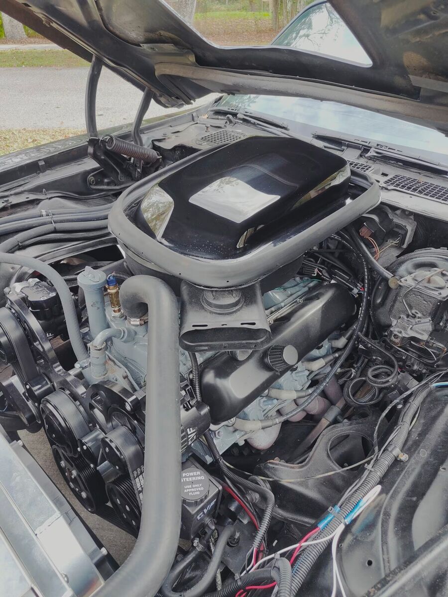 1979 Pontiac Trans Am - photo 12