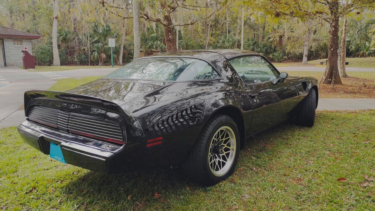 1979 Pontiac Trans Am - photo 3