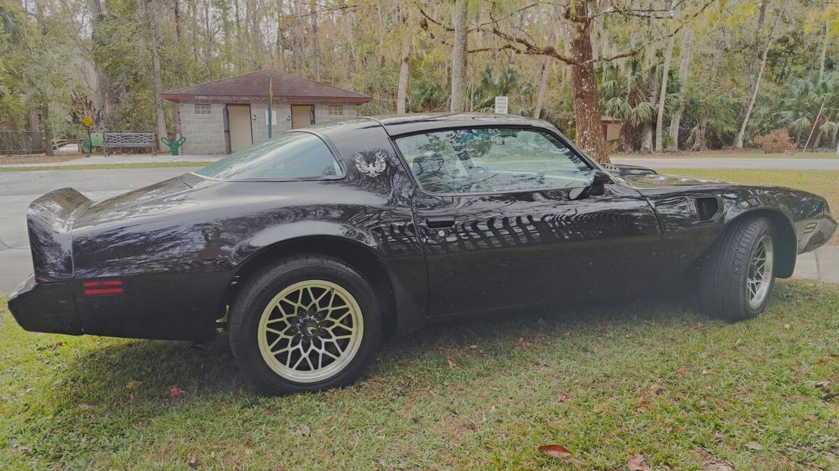 1979 Pontiac Trans Am - photo 7