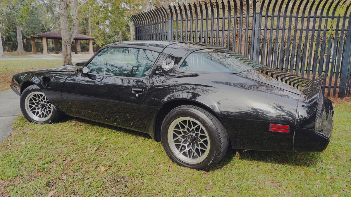 1979 Pontiac Trans Am - photo 8