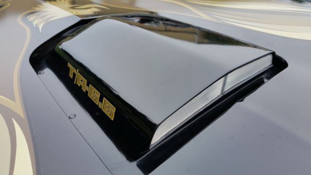 1979 Pontiac Trans Am 403 - photo 13