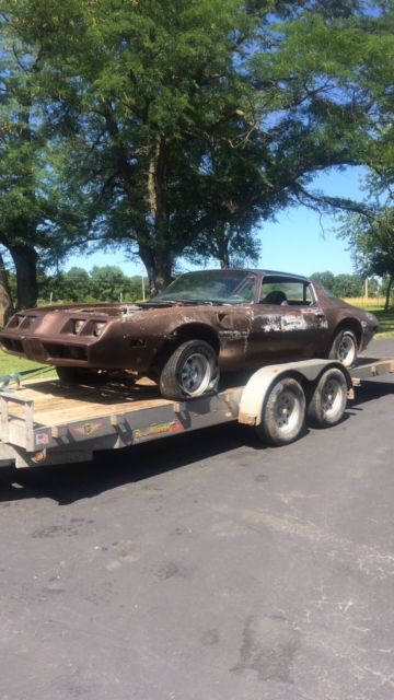 1979 Pontiac Trans Am T Top - photo 2