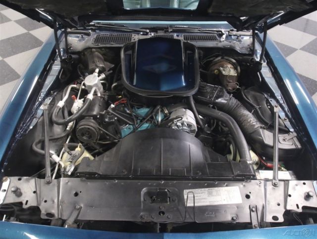 1979 Pontiac Firebird Trans Am - photo 3