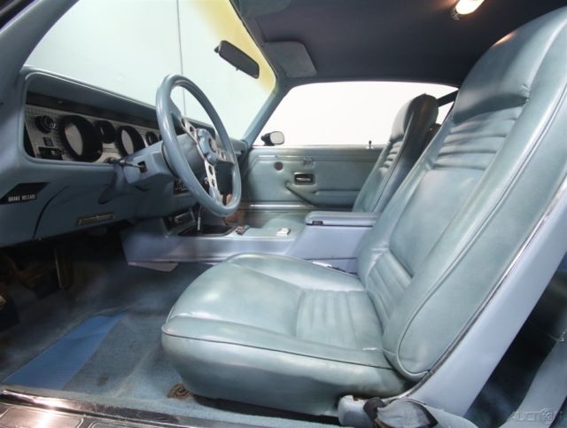 1979 Pontiac Firebird Trans Am - photo 4