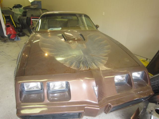 1979 Pontiac Trans Am - photo 4