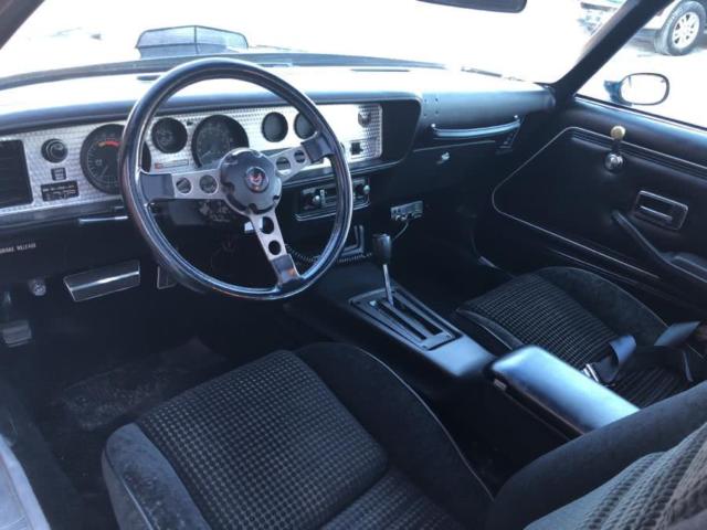 1979 Pontiac Trans Am Trans Am - photo 13
