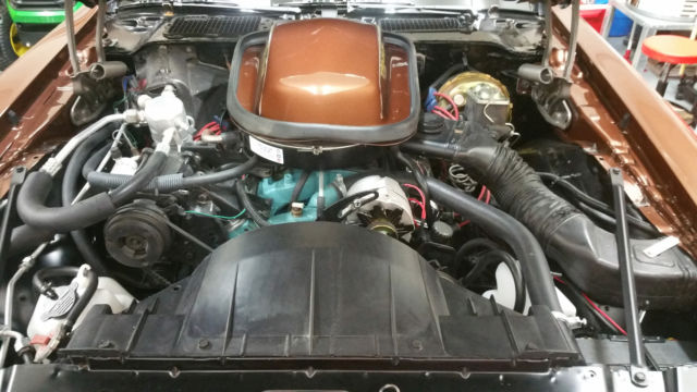 1979 Pontiac Trans Am W72  WS6 - photo 11