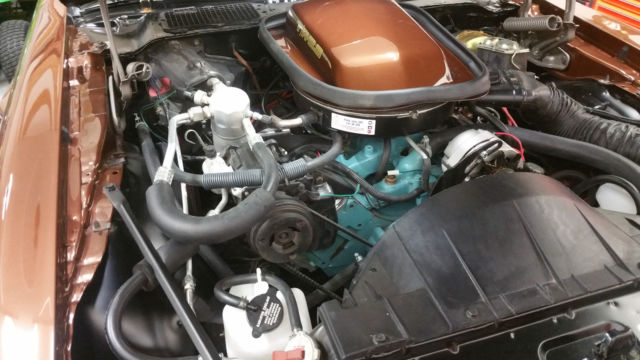 1979 Pontiac Trans Am W72  WS6 - photo 12