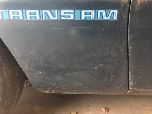 1979 Pontiac Trans Am - photo 4
