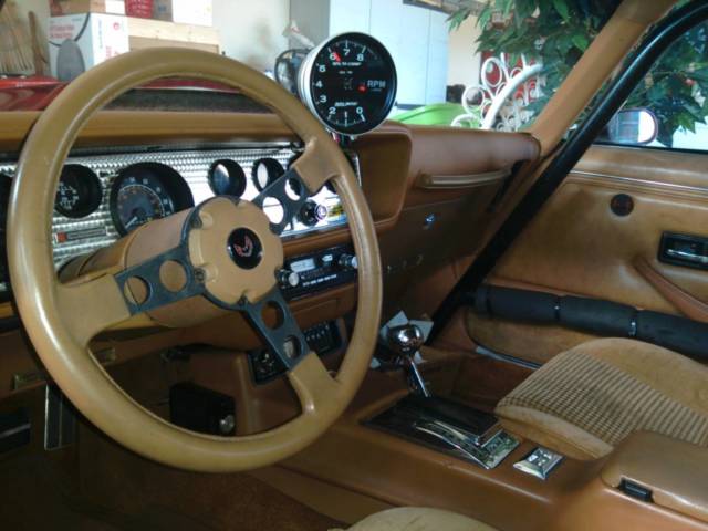 1979 Pontiac Trans Am - photo 9