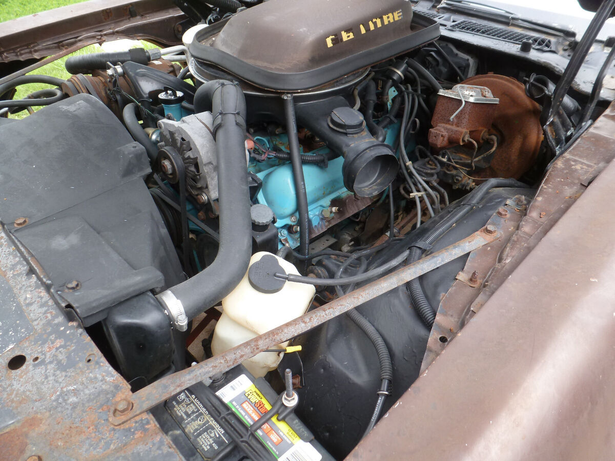 1979 Pontiac Trans Am - photo 11
