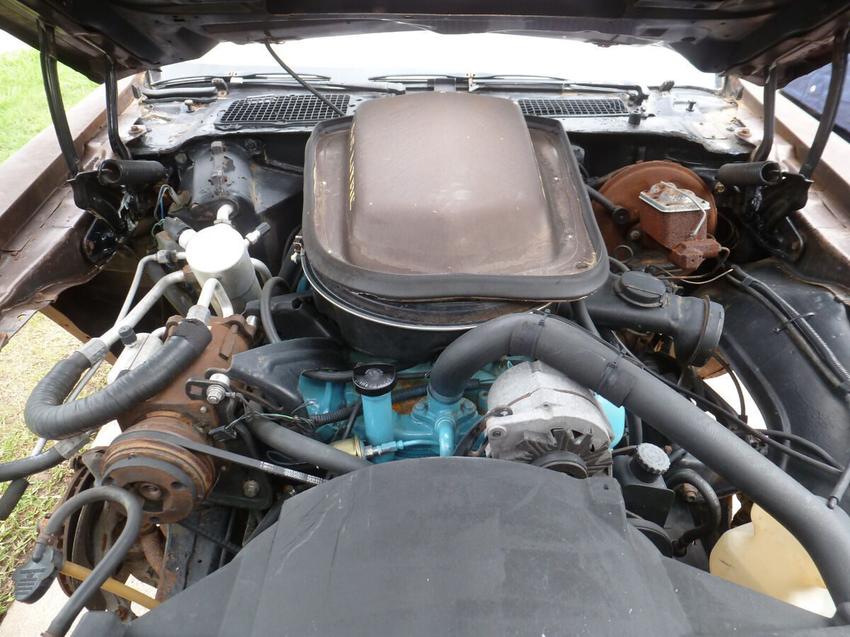 1979 Pontiac Trans Am - photo 12