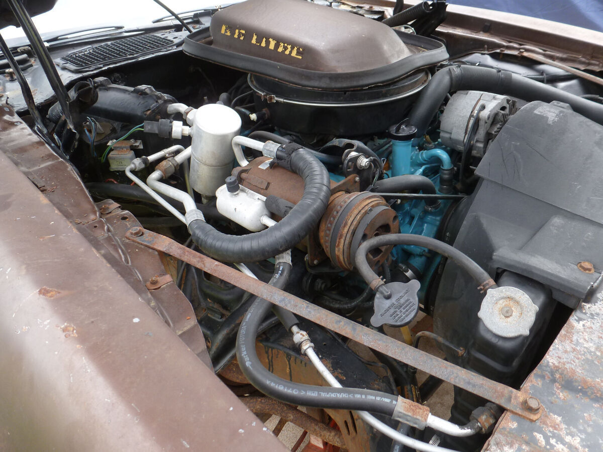 1979 Pontiac Trans Am - photo 13
