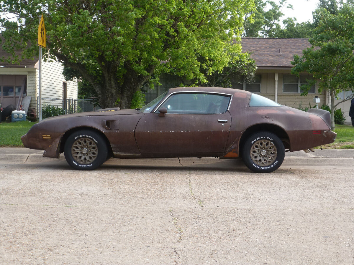 1979 Pontiac Trans Am - photo 6