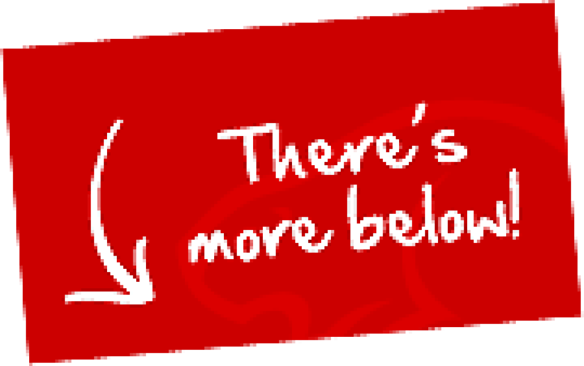 1979 Pontiac Trans Am ws6 - photo 2