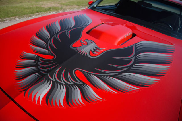 1979 Pontiac Trans Am - photo 6