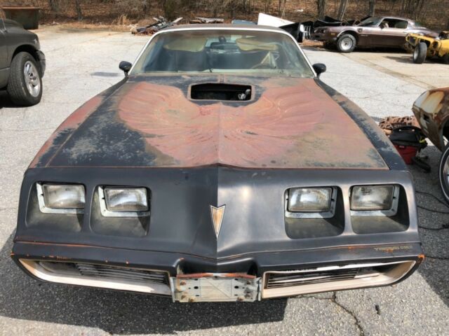 1979 Trans Am Y84 Special Edition 1979 Pontiac Trans Am