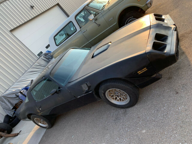 1979 Pontiac Trans Am Y84 Special Edition 6.6 L, Excellent SE Project - photo 2