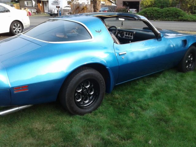 1979 Pontiac Trans Am - photo 9