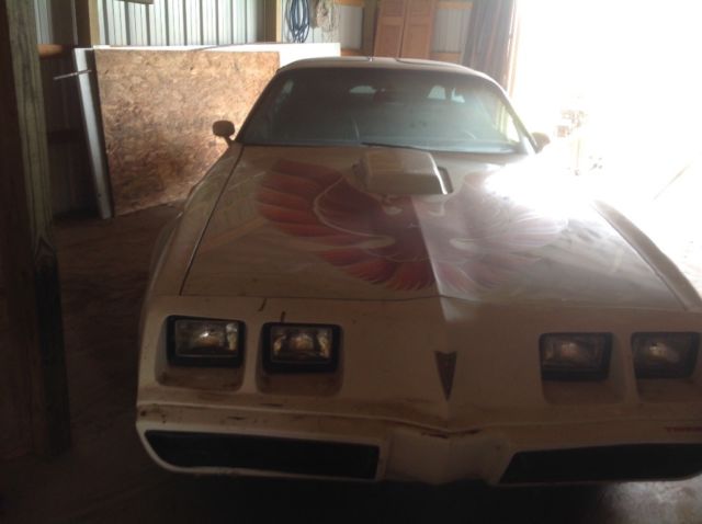 1979 Pontiac Trans Am With T tops - photo 11