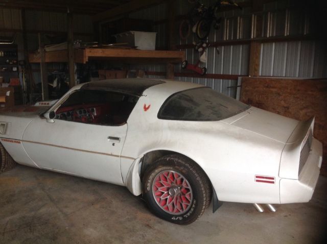 1979 Pontiac Trans Am With T tops - photo 3