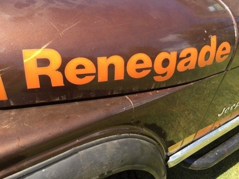 1979 Jeep Renegade - photo 7