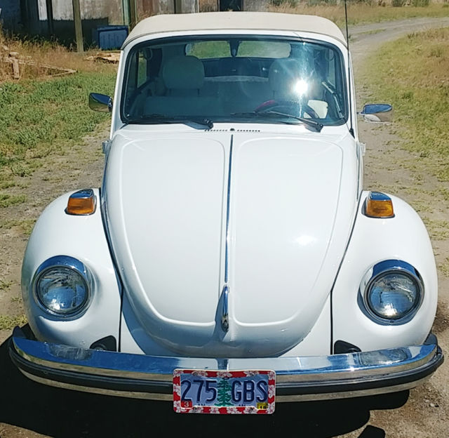 1979 Volkswagen Beetle- Classic Convertible 59k original miles, fuel injected 1979 Volkswagen Beetle - Classic Chrome