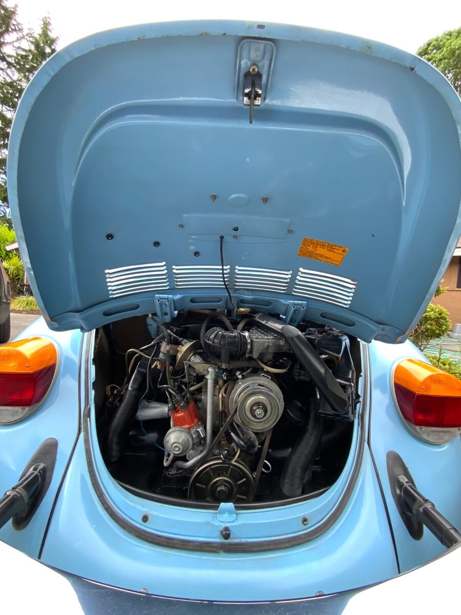 1979 Volkswagen Beetle - Classic - photo 10