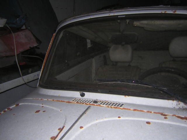 1979 Volkswagen Beetle - Classic - photo 7