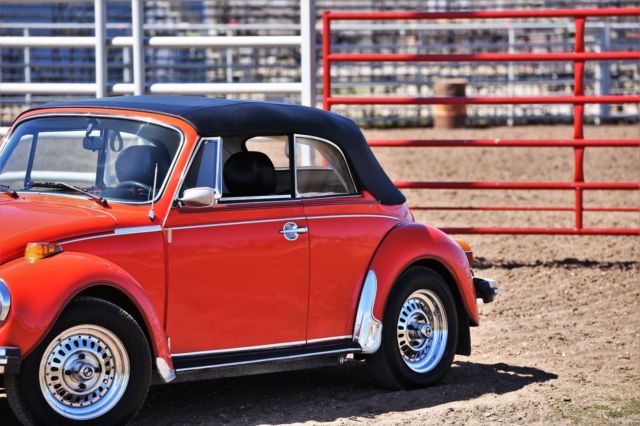 1979 Volkswagen Beetle - Classic Cabroleit Karmann - photo 2