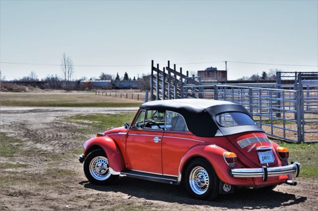 1979 Volkswagen Beetle - Classic Cabroleit Karmann - photo 4