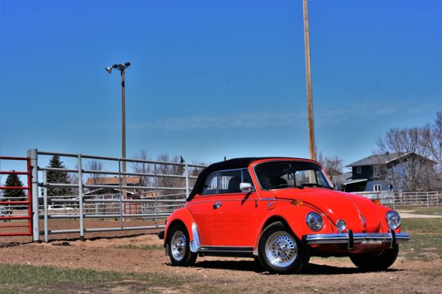 1979 Volkswagen Beetle - Classic Cabroleit Karmann - photo 6