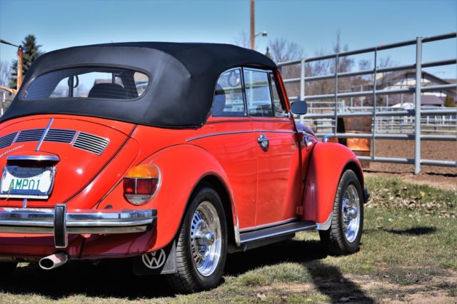 1979 Volkswagen Beetle - Classic Cabroleit Karmann - photo 7