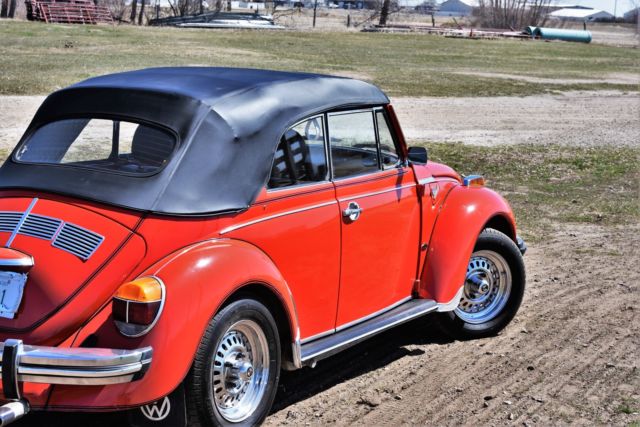 1979 Volkswagen Beetle - Classic Cabroleit Karmann - photo 9