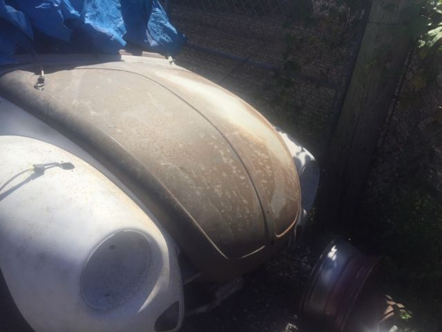 1979 Volkswagen Beetle-New - photo 8